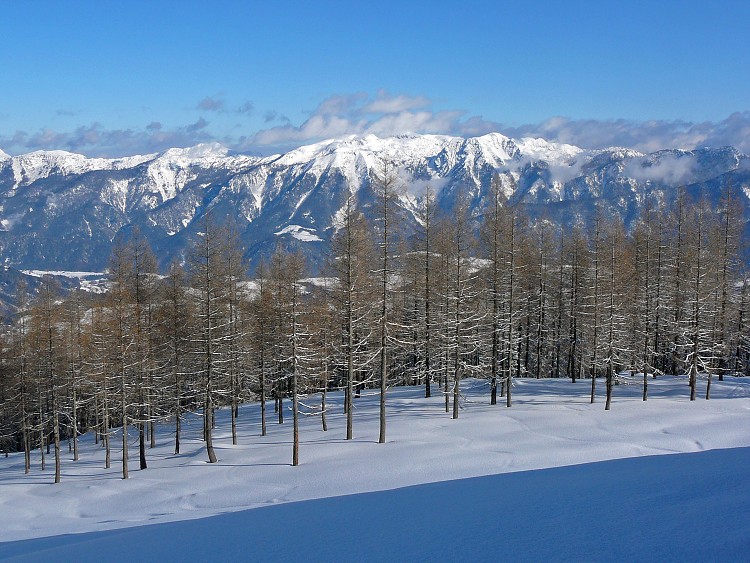 img00008.jpg