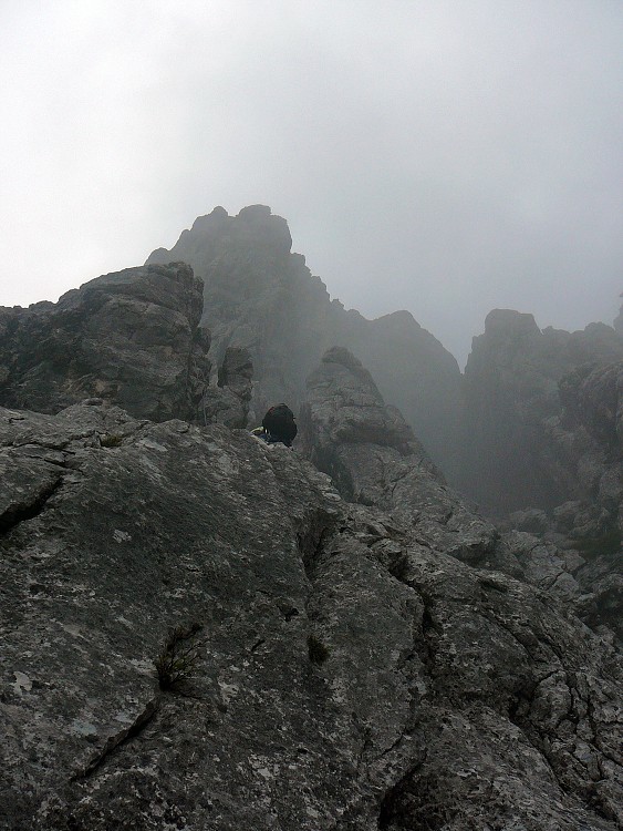img00015.jpg