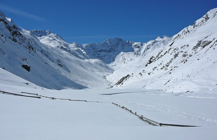 img00003.jpg