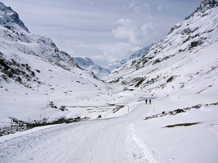 img00005.jpg