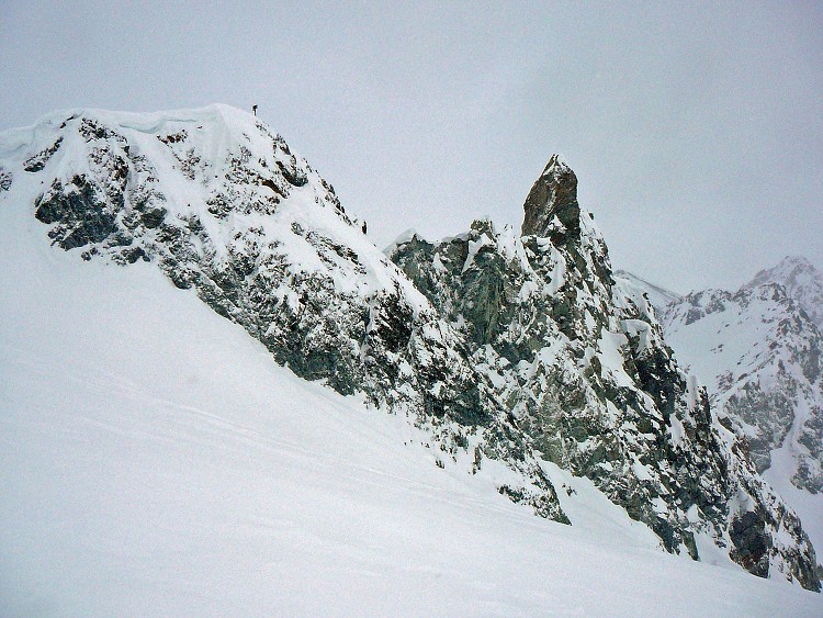 img00009.jpg