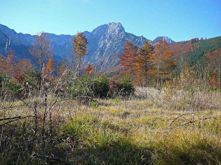 img00002.jpg