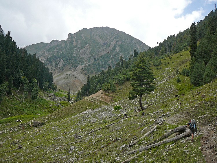 img00003.jpg